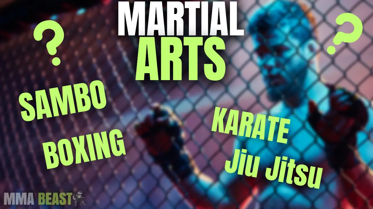 What Martial Arts Are In MMA?